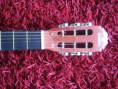 /album/collezionismo-hobby/p8180066-jpg/